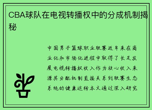 CBA球队在电视转播权中的分成机制揭秘